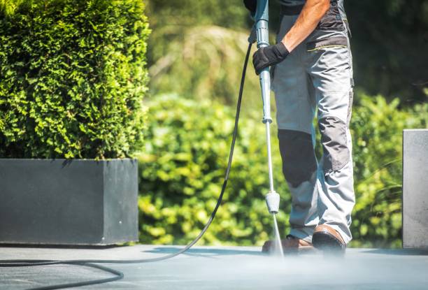 Animal Enclosure Cleaning in Rancho Calaveras, CA